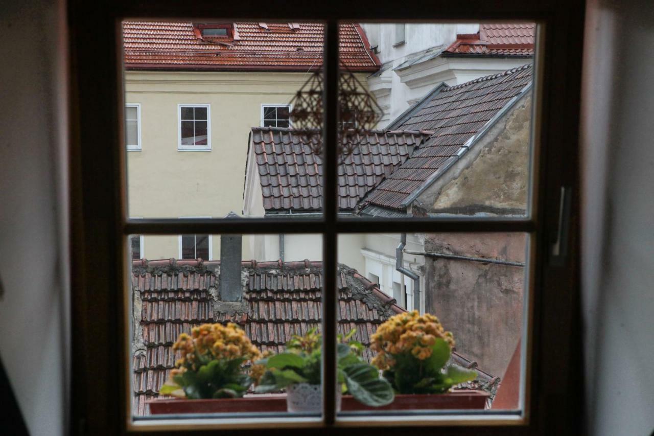 Vokieciu G. Lägenhet VNO Exteriör bild